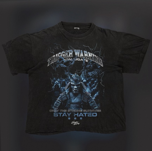 Daigaro Reimagined T-Shirt
