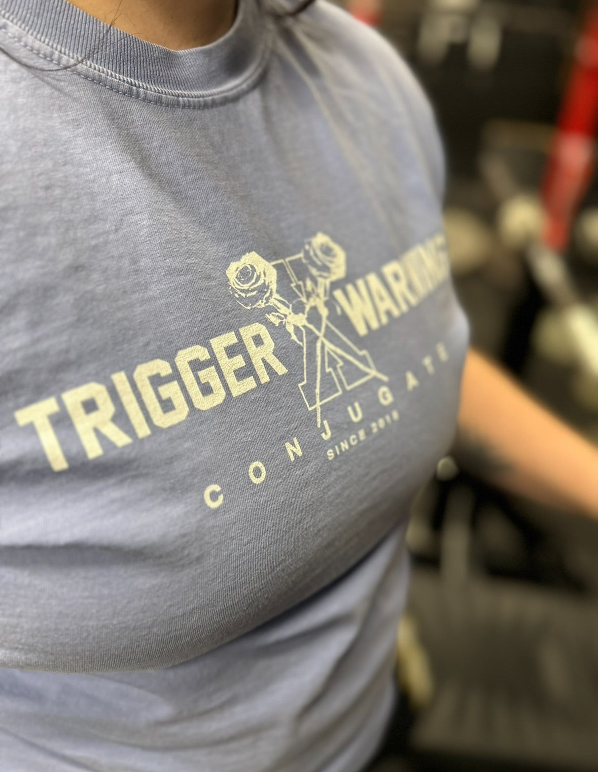 Decade Rose Comfort Colors T